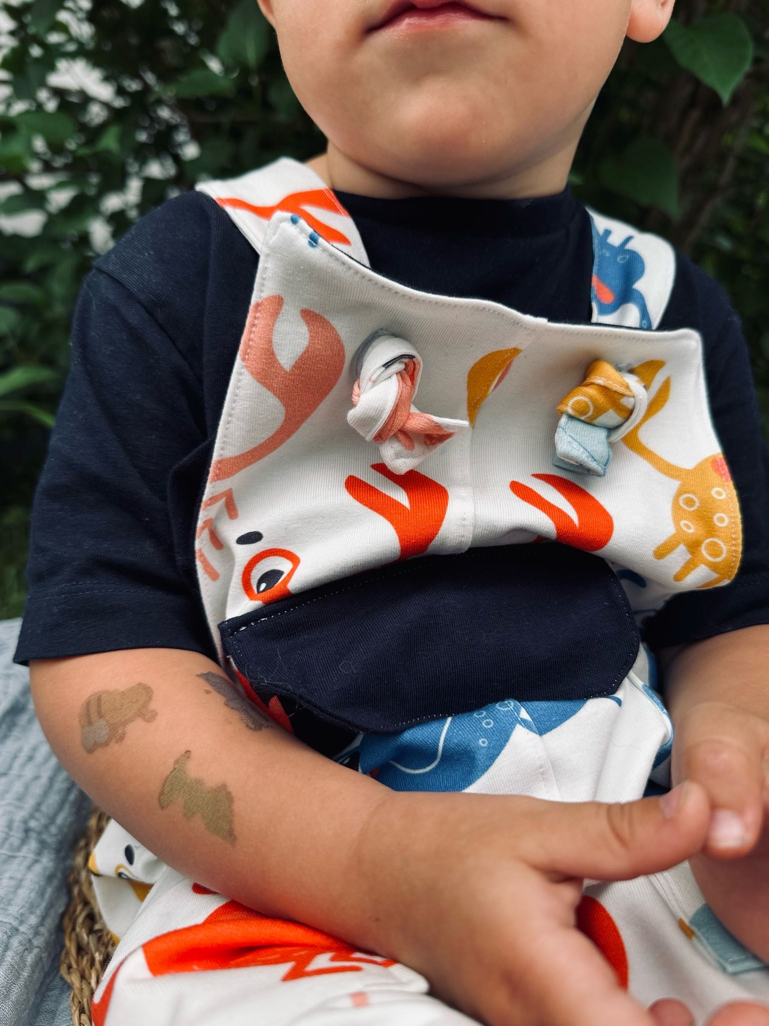 Kleiner Krebs Dauervorbestellung